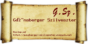 Günsberger Szilveszter névjegykártya
